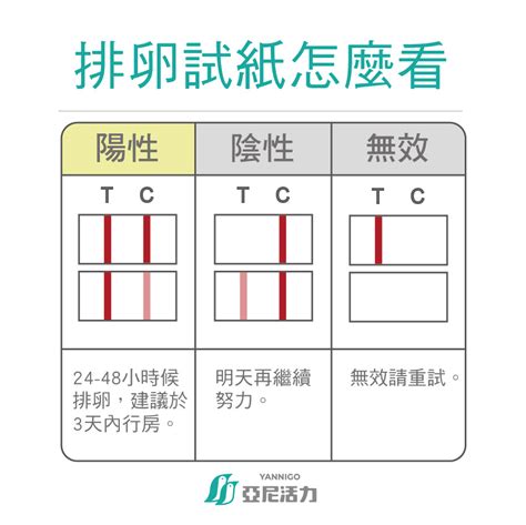 助孕小物|準備懷孕前七大注意事項，想提高懷孕機率這樣做很有。